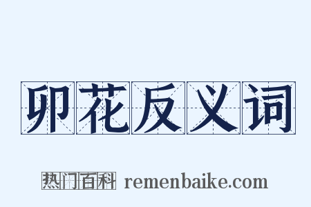 卯花反义词是什么意思的图片